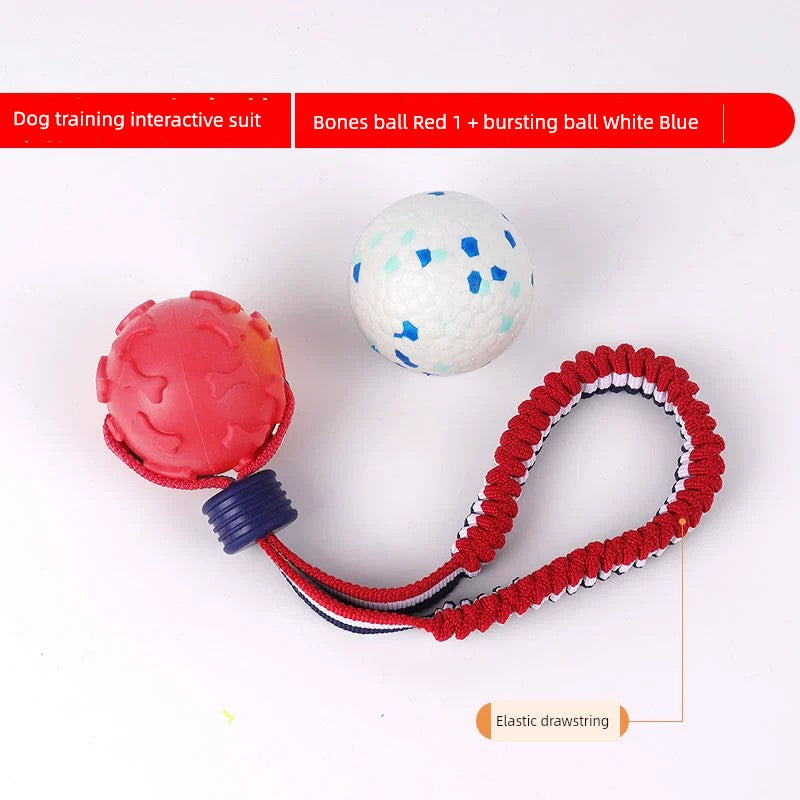 Interactive Dog with Tetherball Pet Supplies