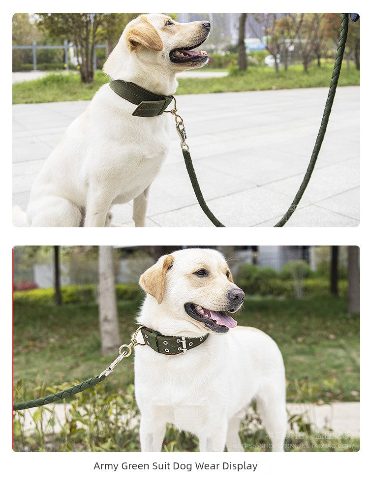 Medium-Sized Dog Hand Holding Rope