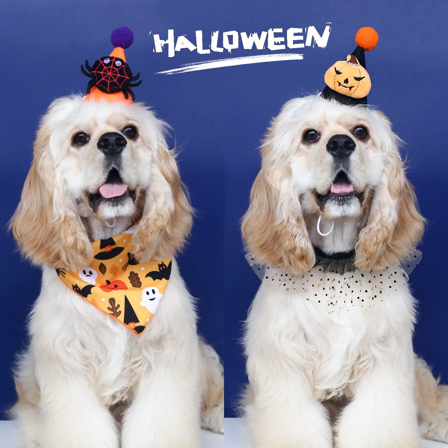 Conjunto de Halloween para mascotas, sombrero de murciélago, araña y calabaza, diadema con babero de encaje, bufanda triangular, accesorios para perros y gatos, lazos para cachorros y perros