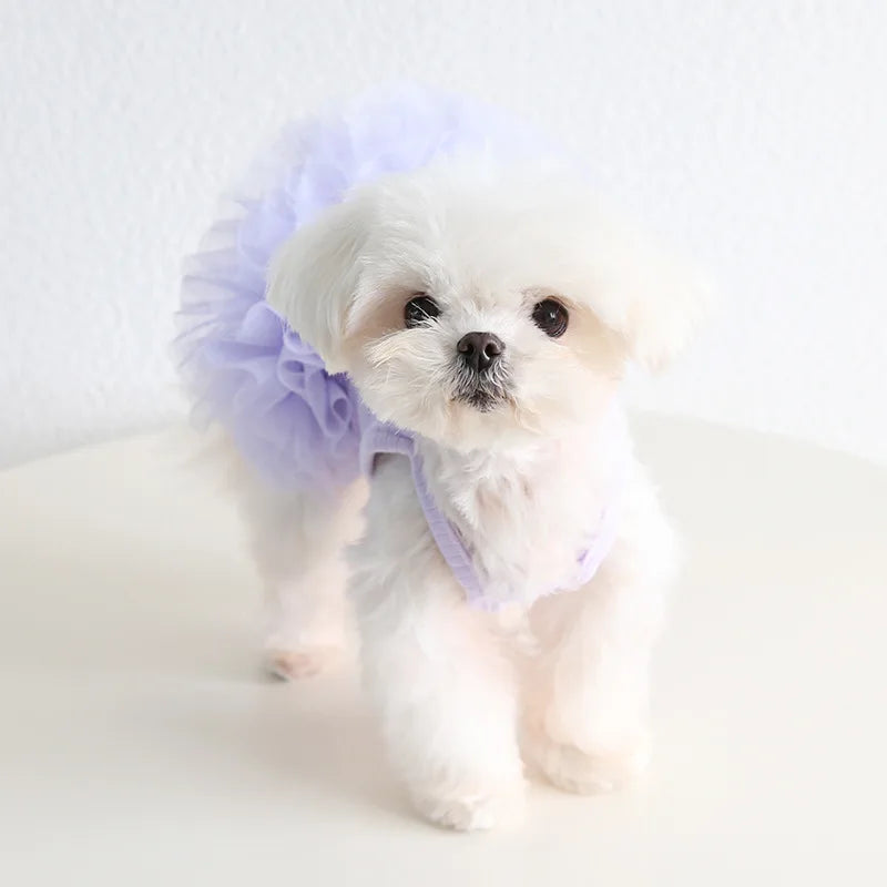 Elegant Pet Puff Skirt Dog Dance Skirt Spring/Summer New Dog Strap Dress Cat Clothing Pet Clothing Cute Bottom Skirt