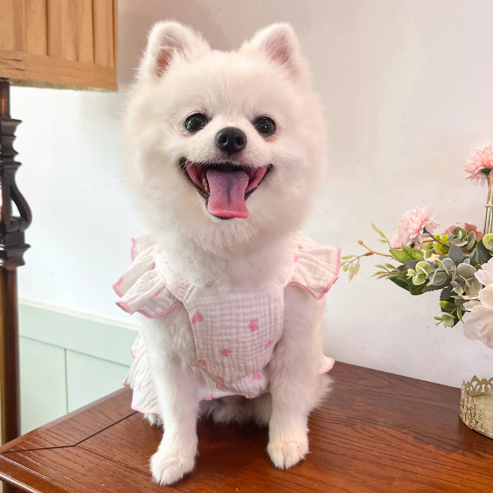 Cute Dog Clothes for Small Dogs Summer Dog Princess Dress Breathable Puppy Clothing Fashion Cat Wedding Skirt Pet Thin Dresses