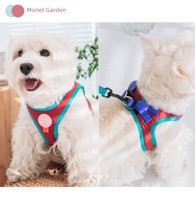 Contrast Color Chest and Back Tow Rope Collar Dog