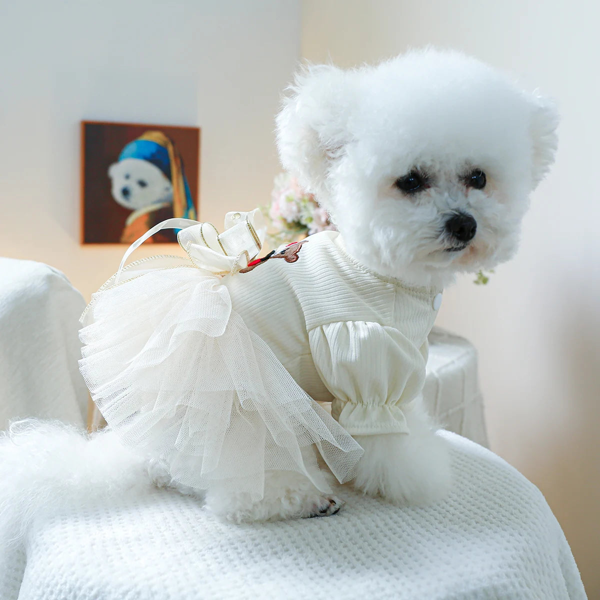 1PC Pet Clothing Spring and Autumn Wedding Bear Wedding Dress Princess Dress Suitable for Small and Medium sized Dogs