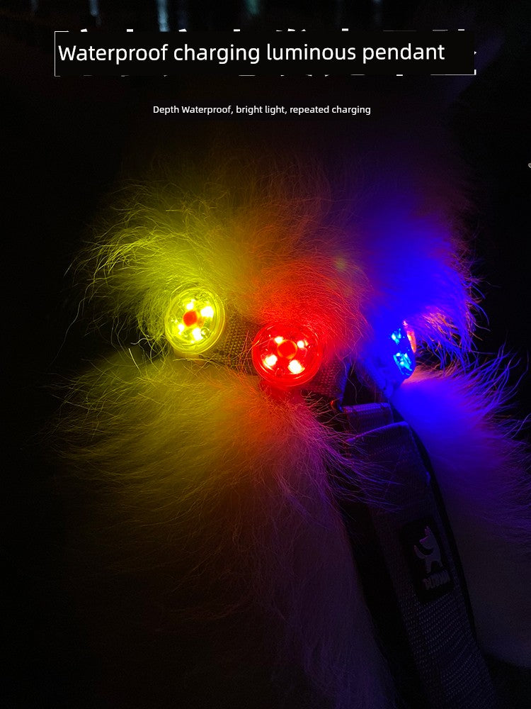 Travel Handy Gadget Charging Waterproof Luminous Dog Walking Collar