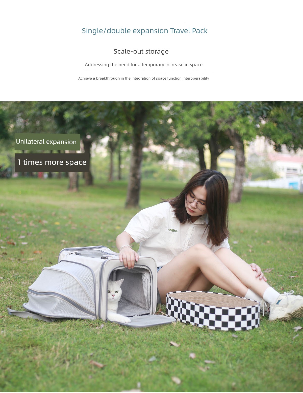 Portable Breathable Trolley Case Satchel Crossbody Shoulder Cat Bag