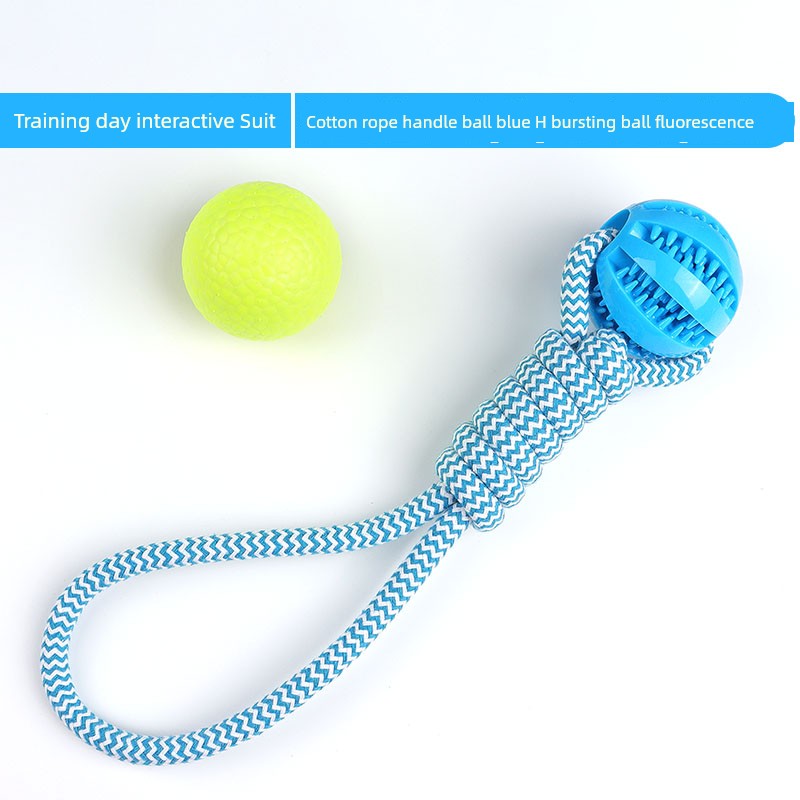 Interactive Dog with Tetherball Pet Supplies