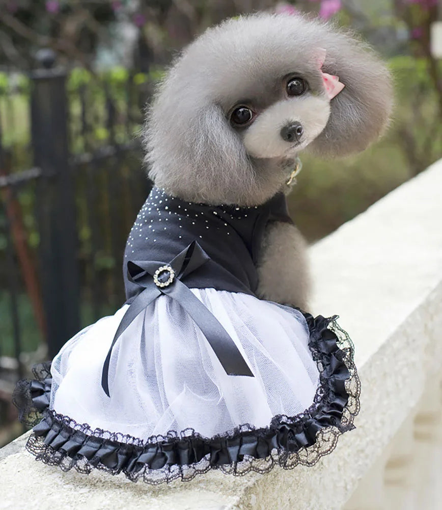 Dog Skirts Pet Wedding Dresses Pet Dresses Poodle Bichon Frise Princess Dress Summer Dog Dresses