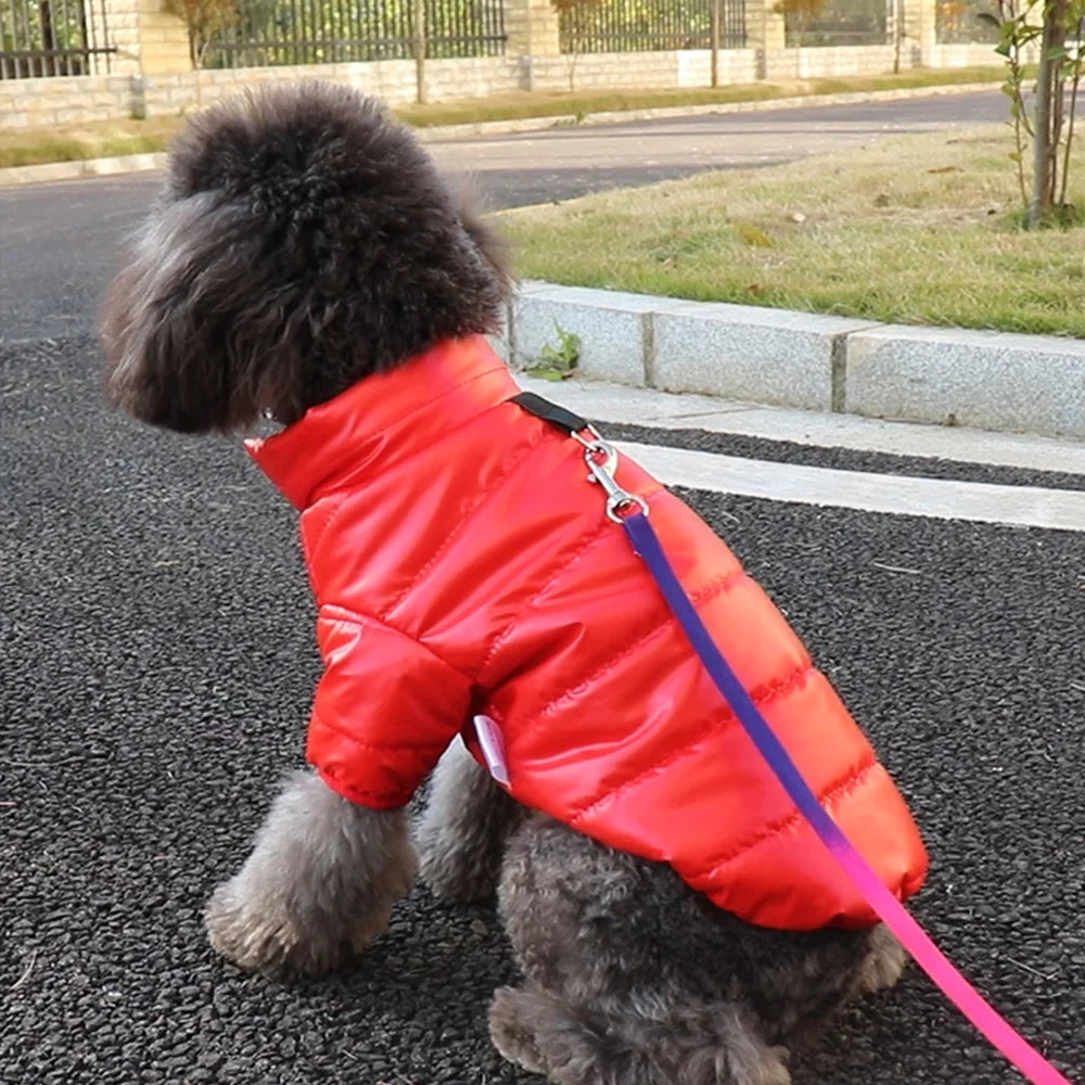 Winter Dog Costume Warm Clothes For Small Dogs Chihuahua Yorkie Coat ClothingThick PU Leather Dog Down Jacket Pet Outfits XS-XL