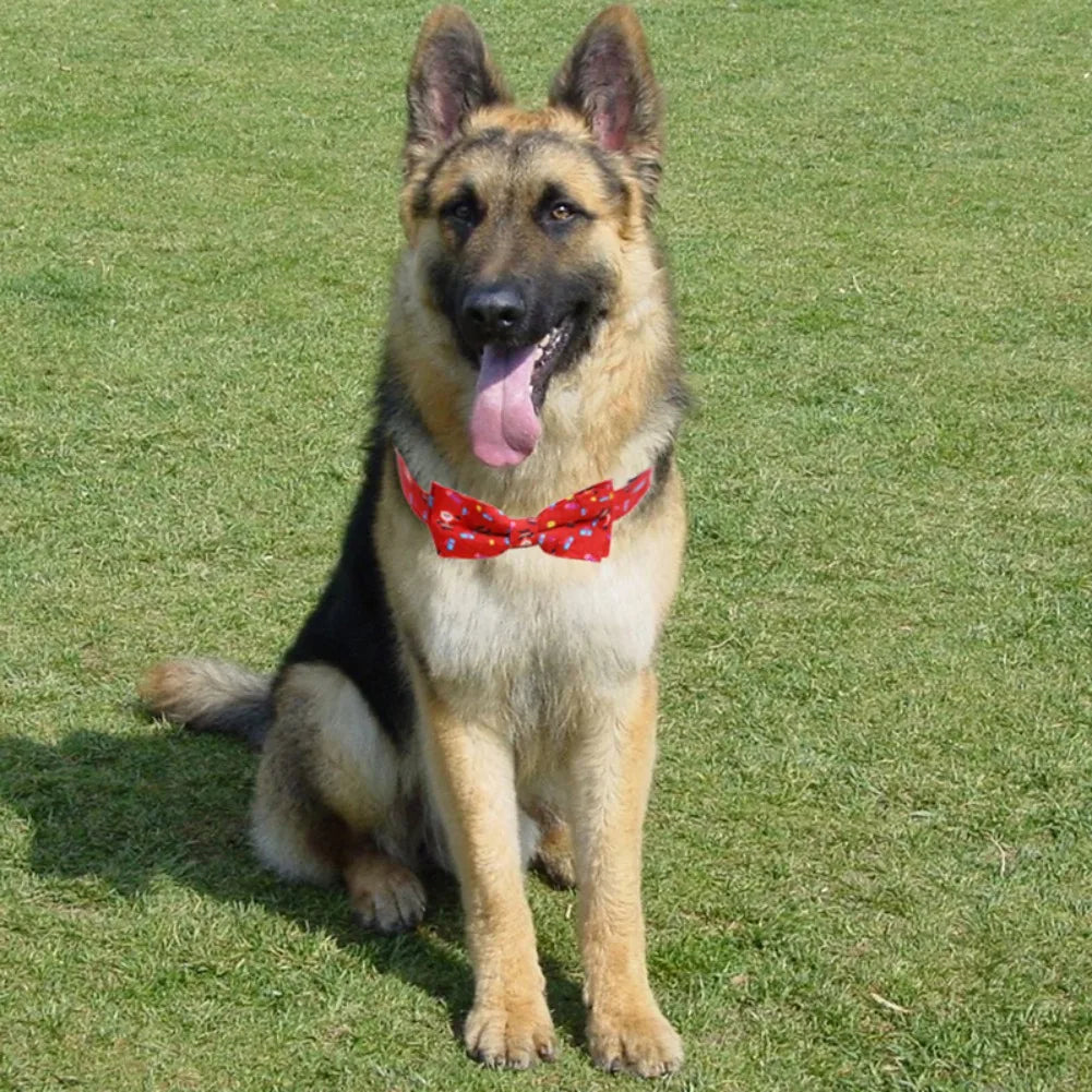 Cat Breakaway Collar with Bell and Bow Tie