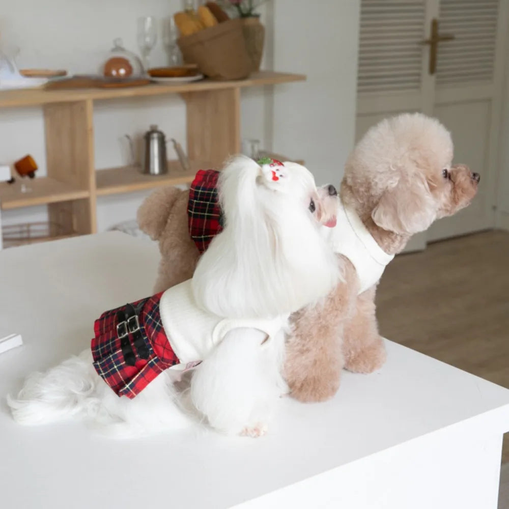 Autumn/Winter Pet Plaid Skirt Dog Dress Cute Pet Dress Teddy Bichons Maltese Dog Dress Puppy Clothes Dog Clothes for Small Dogs