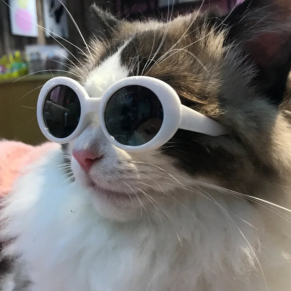 Cat Sunglasses Reflection Eye wear Cool Pet Products Round glasses For Small Dog Cat Pet Photos Props Supplies Accessories