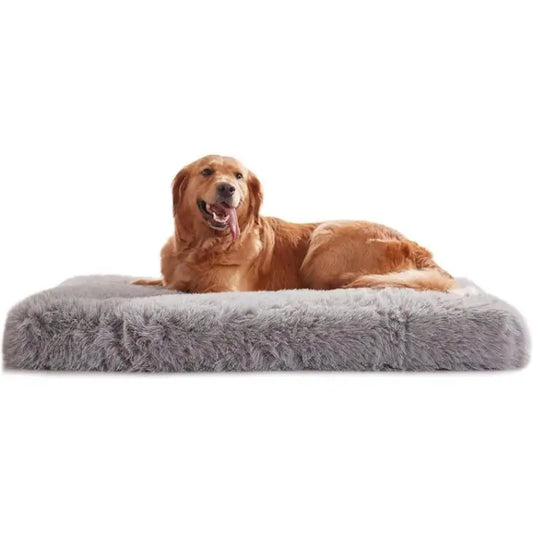 Dog Beds for Large Dogs