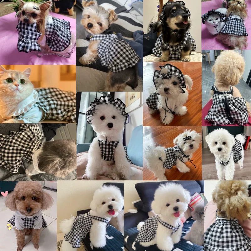 Dog Clothes Summer Luxury Pet Plaid Striped Suspender Skirt Hat Vest Set Puppy Dress Chihuahua Bichon Yorkie Dog Costume 2024