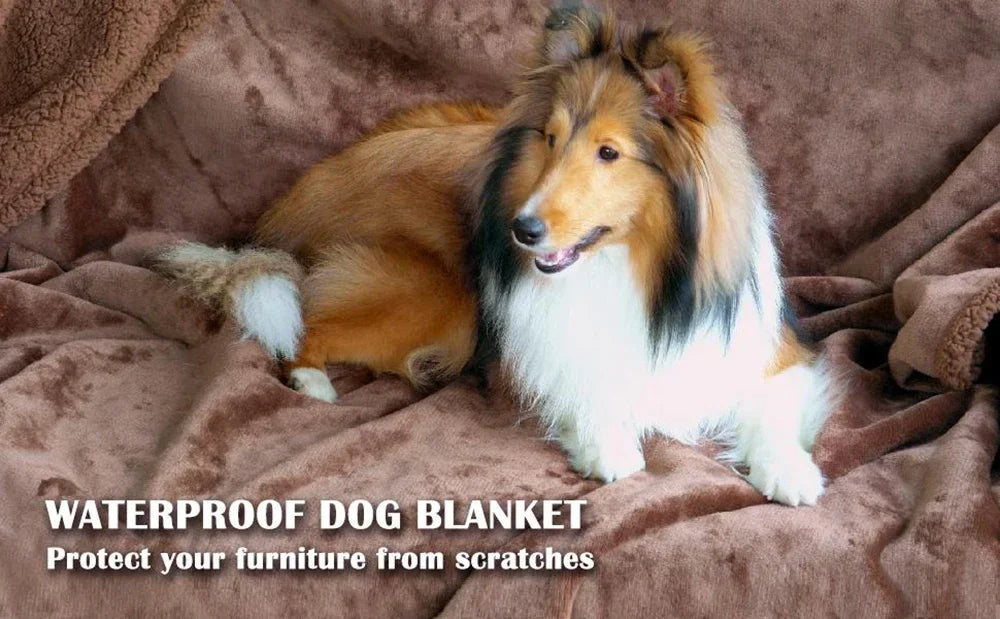 Sofa Bed Blanket Double Sided Sherpa Wool Furniture Protector Waterproof Pet Blanket Liquid Urine Resistant Dog