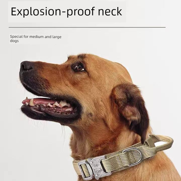 Large Dog Collar