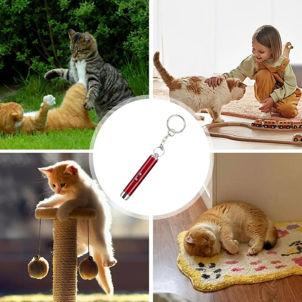 Pointeur laser pour chats Jouet laser interactif pour chat Jouets d'enrichissement pour animaux de compagnie pour chat d'intérieur pour jouer et faire de l'exercice