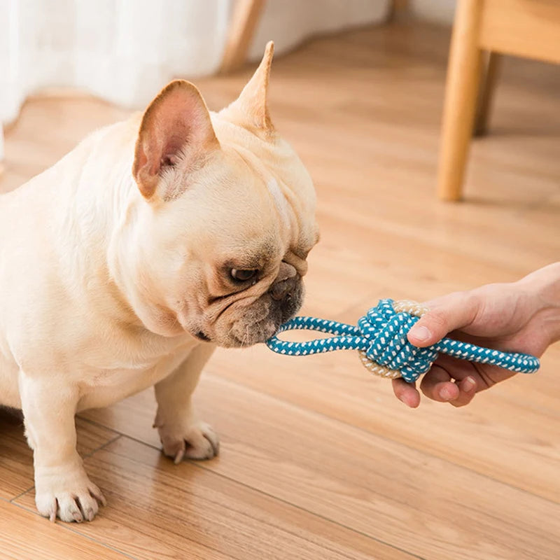 Mini jouets interactifs pour chiens en corde de coton, balle pour chiens, accessoires, brosse à dents, jouet à mâcher pour chiots, jouet pour grands et petits chiens, jouet pour animaux de compagnie