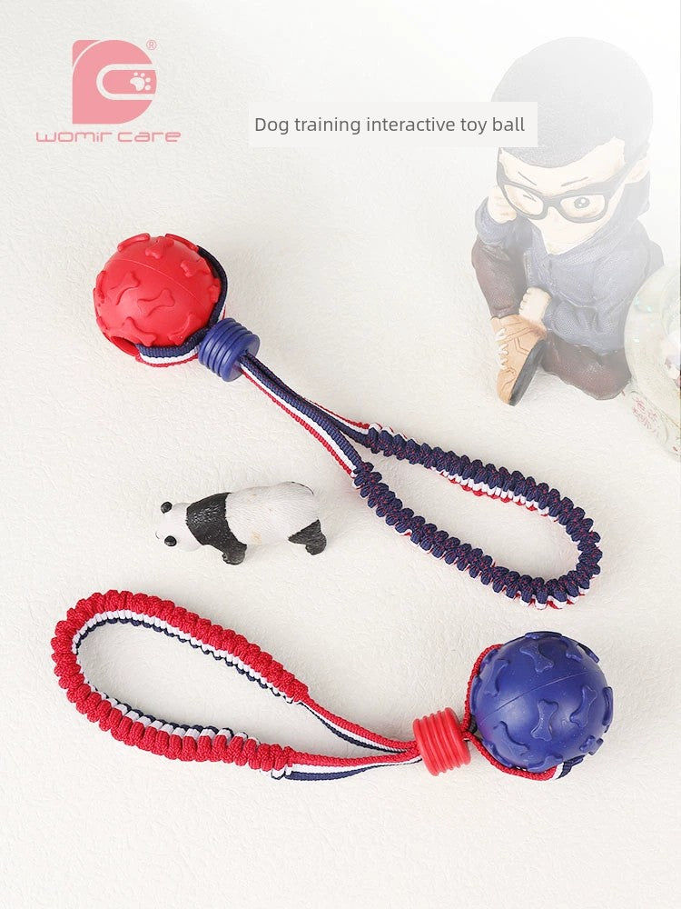 Interactive Dog with Tetherball Pet Supplies