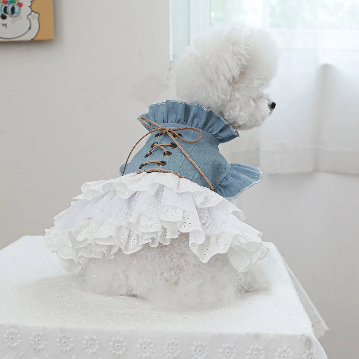 Pet Cowboy Lace Coat for Dogs Cats Ponds Dresses Cute Cowboy Skirts Dog Dresses for Small Dogs Puppy Clothes for Small Dogs