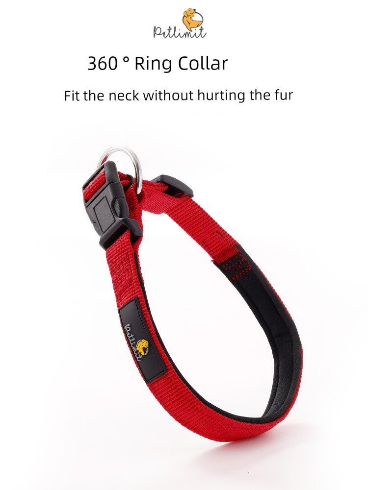 Border Collie Teddy Collar Dog Hand Holding Rope