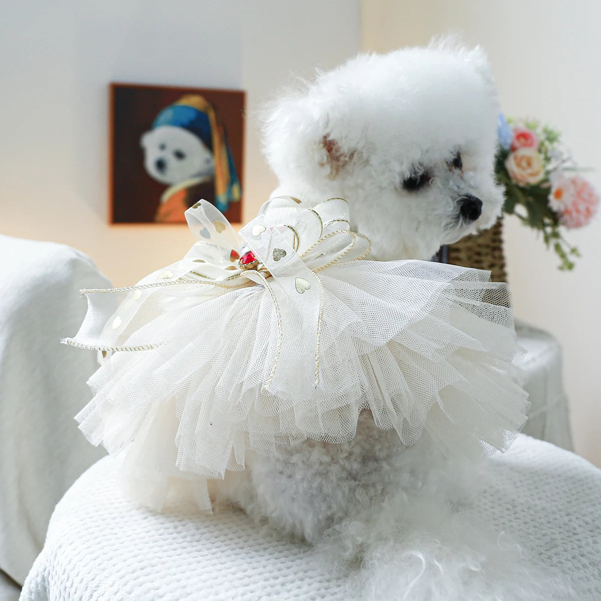 1PC Pet Clothing Spring and Autumn Wedding Bear Wedding Dress Princess Dress Suitable for Small and Medium sized Dogs