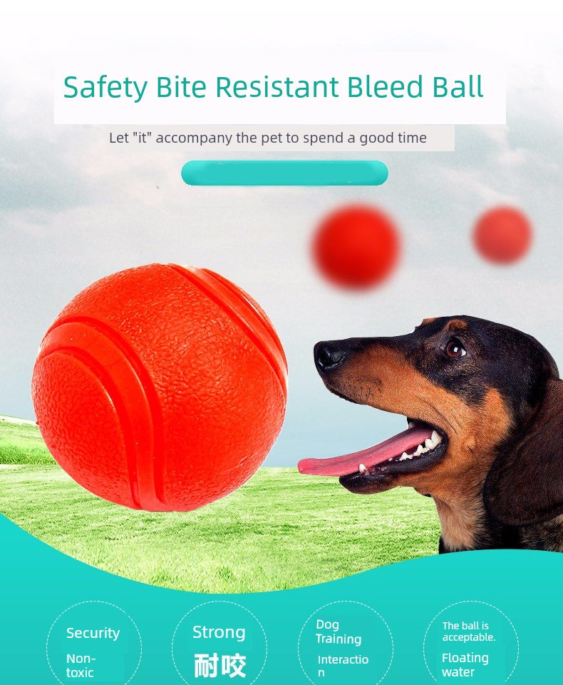 Toy Ball Bite-Resistant Molar Elasticity Relieving Stuffy Dog