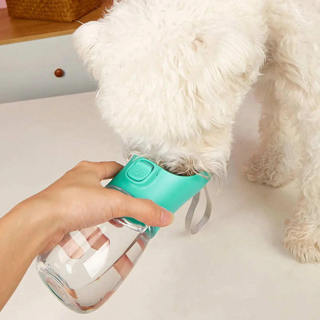 Pet Portable Dog Water Bottle for Small Large Dogs Cats Walking Leakproof Durable Puppy Drinking Bowl Golden Retriever Supplies