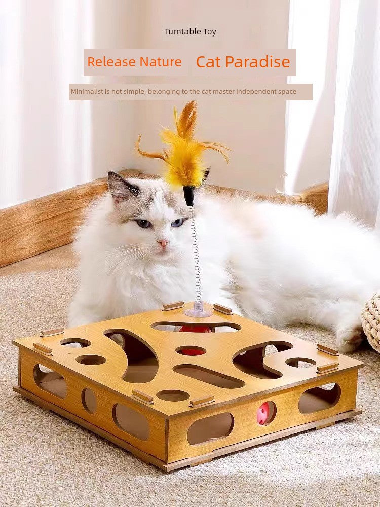 Relieving Stuffy Handy Gadget Consumption Puzzle Maze Box Cat