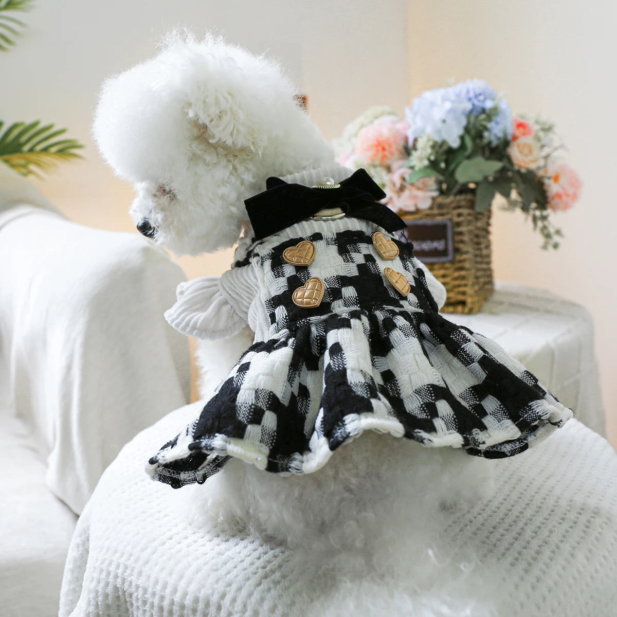 1PC pet clothing autumn and winter thick black and white bow princess skirt for small and medium-sized dogs