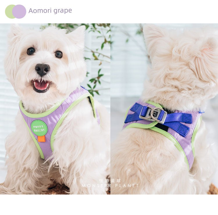 Contrast Color Chest and Back Tow Rope Collar Dog