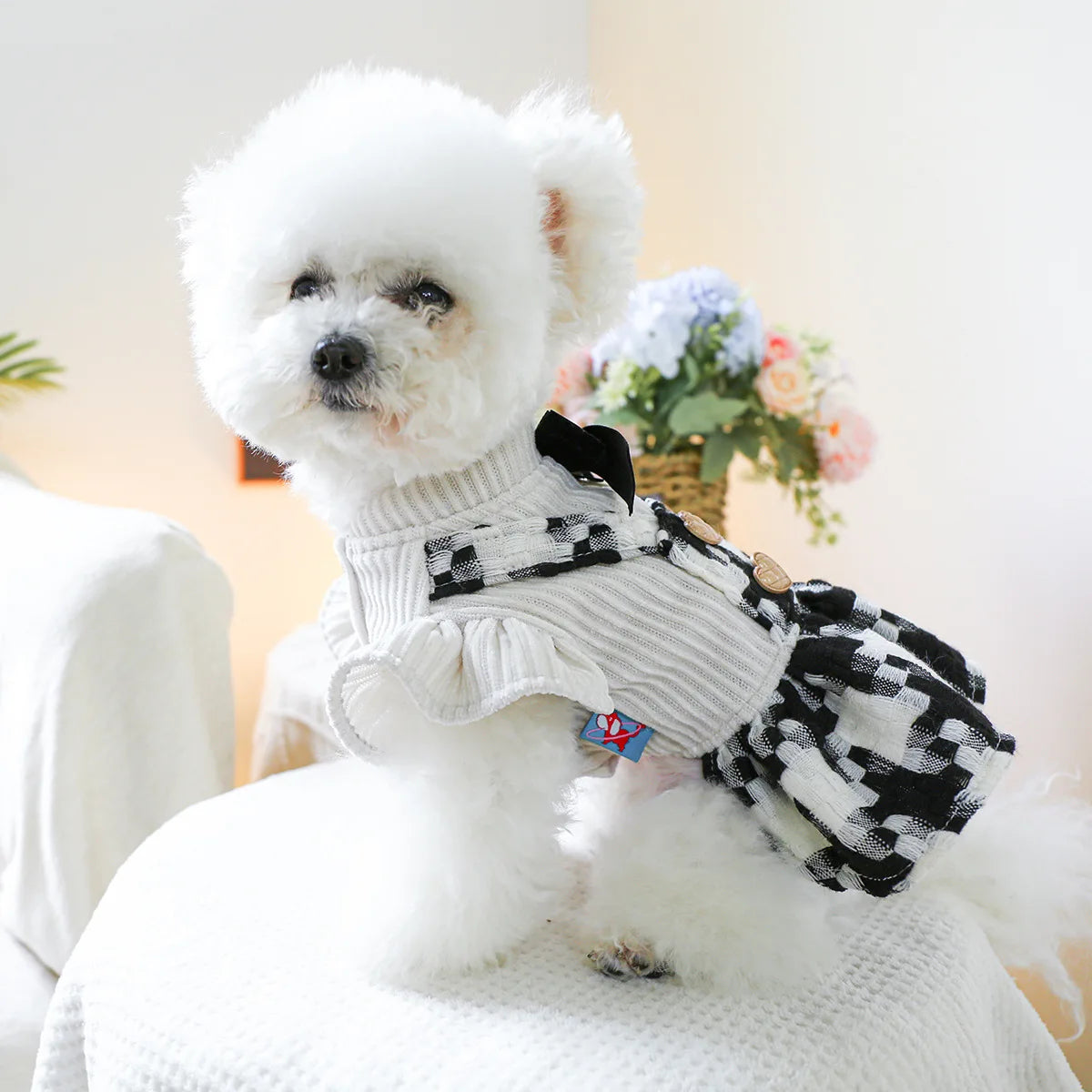 Luxury Black Dog Harness Dresses Clothes For Small Pet Autumn Winter Puppy Maltese Chihuahua Party Uniform Outfit XS XL Products