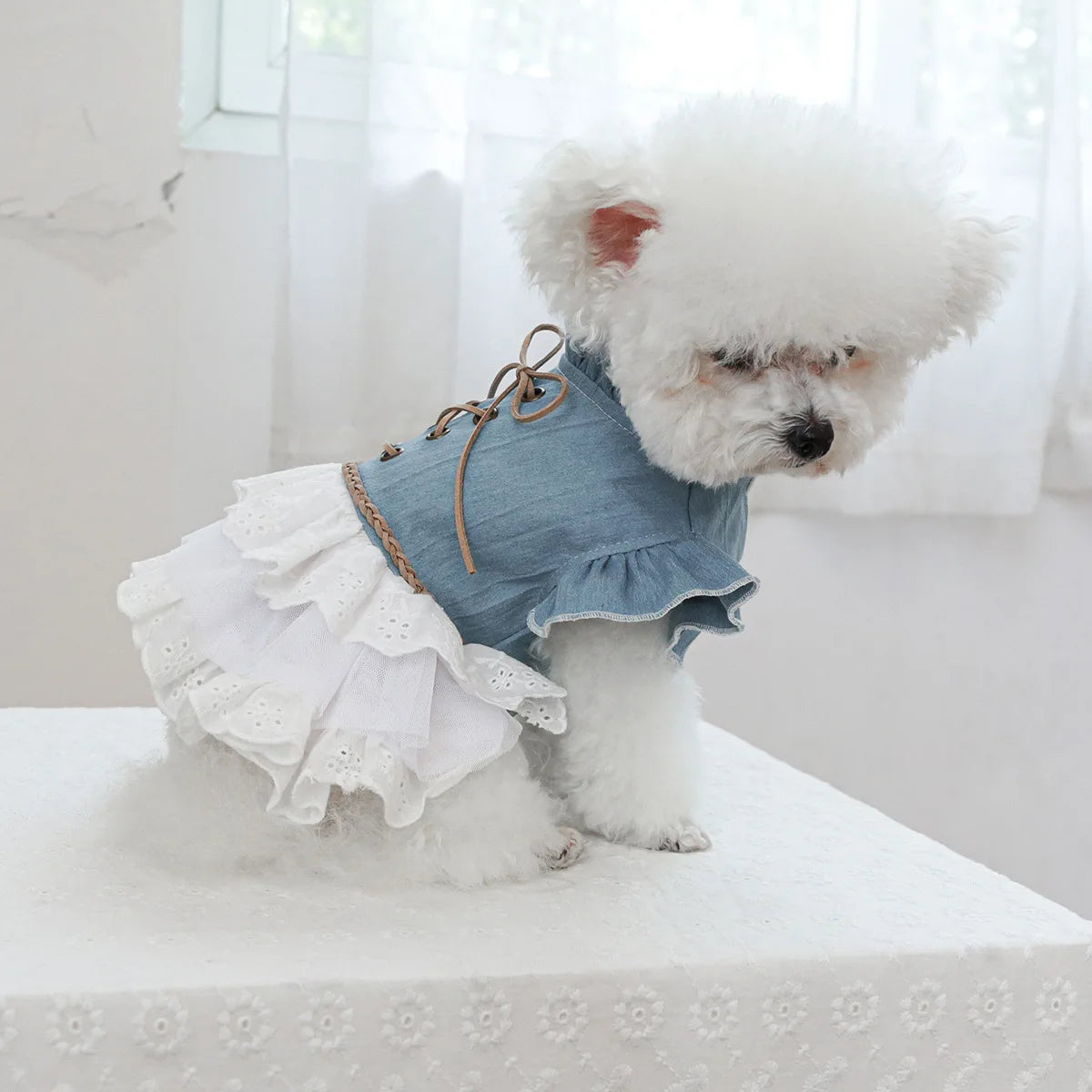 Pet Cowboy Lace Coat for Dogs Cats Ponds Dresses Cute Cowboy Skirts Dog Dresses for Small Dogs Puppy Clothes for Small Dogs