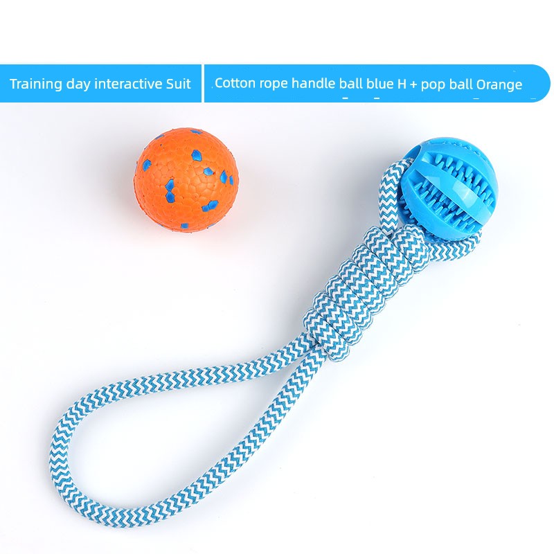 Interactive Dog with Tetherball Pet Supplies