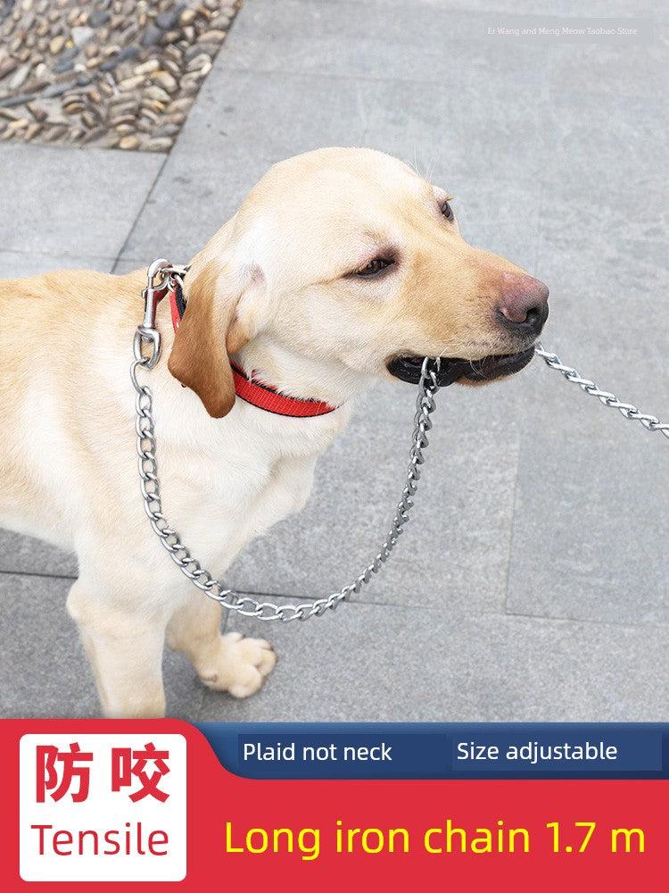 Anti-Bite Teddy Dog Leash Large Collar Iron Chain