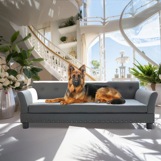 Comfortable Dog Couch, Modern and Stylish Dog Sofa