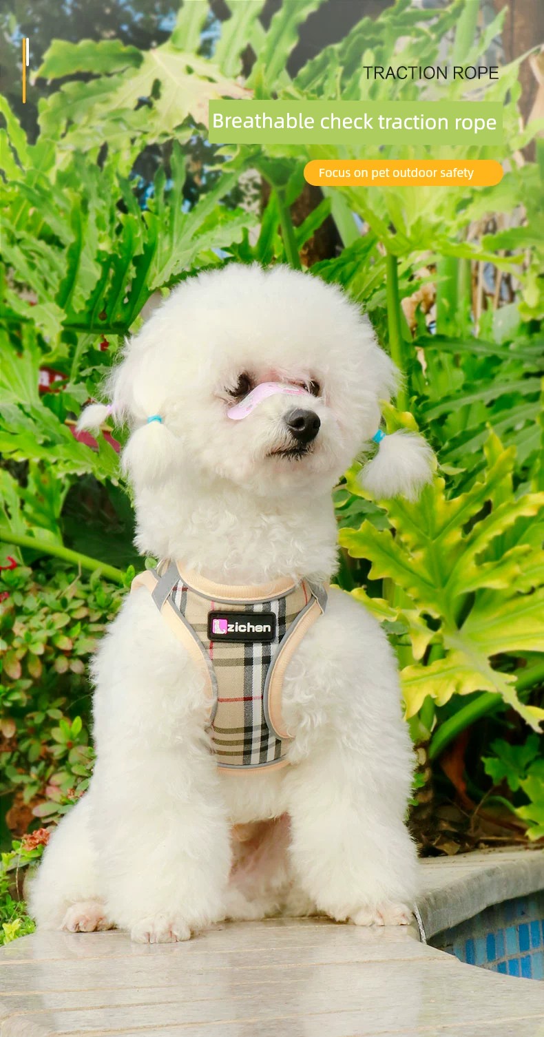 New Arrival Vest Dog Hand Holding Rope Small and Medium-Sized Dogs Teddy Bichon Pomeranian Hand Holding Rope Pet Walking Dog Special Rope