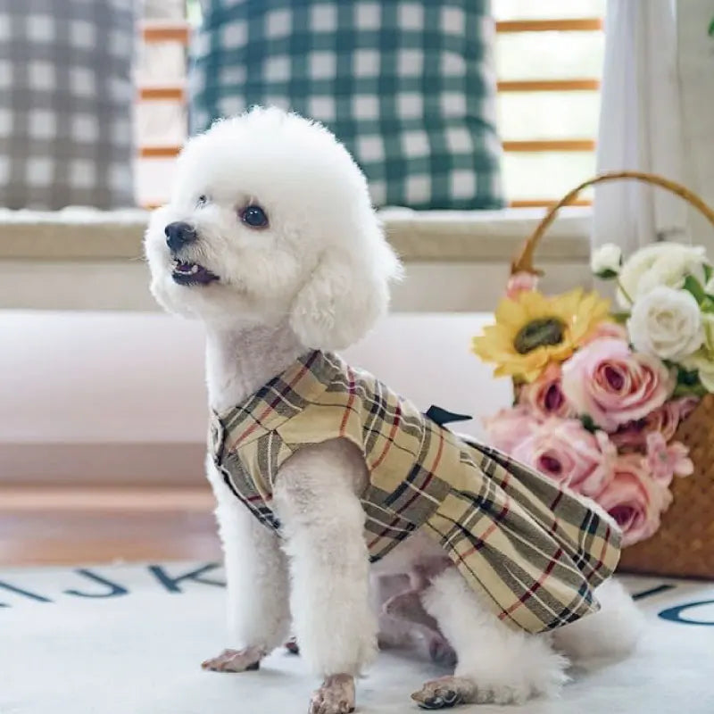 Spring Autumn Pet Apparel Accessories Teddy Puppy Skirt Cute Bow Plaid Dog Dress