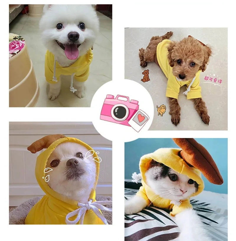 Cute Fruit Dog Clothes Reindeer Small Dogs Hoodies Warm Pet Clothing Puppy Cat Costume Coat Chihuahua Mouse Cheese Jacket Suit