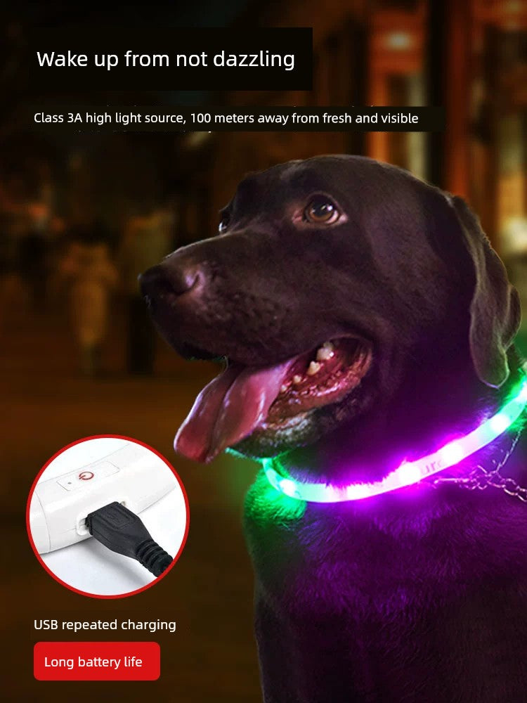 Luminous Circle Small Size Dogs Pet Dog