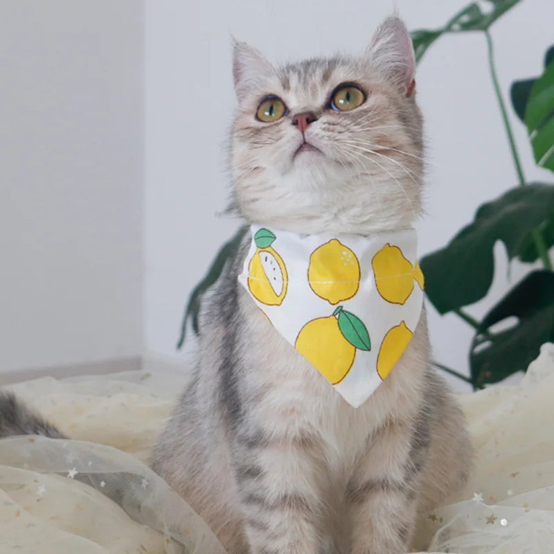 Toalla de saliva de algodón de alta calidad para perros y gatos, 11 colores, estampado de frutas, vendaje triangular para mascotas, accesorios de chat para gatos y gatitos