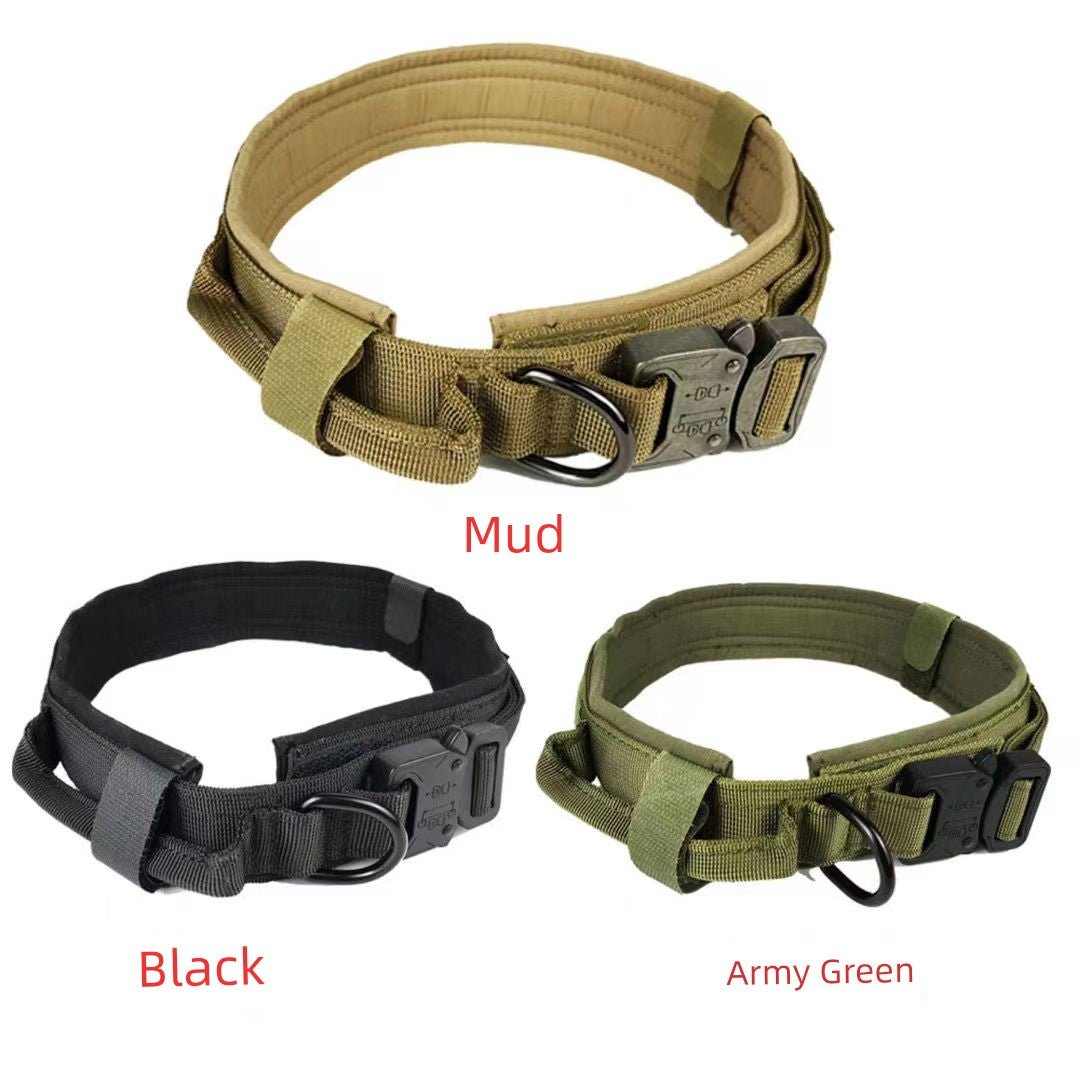 Large Dog Collar