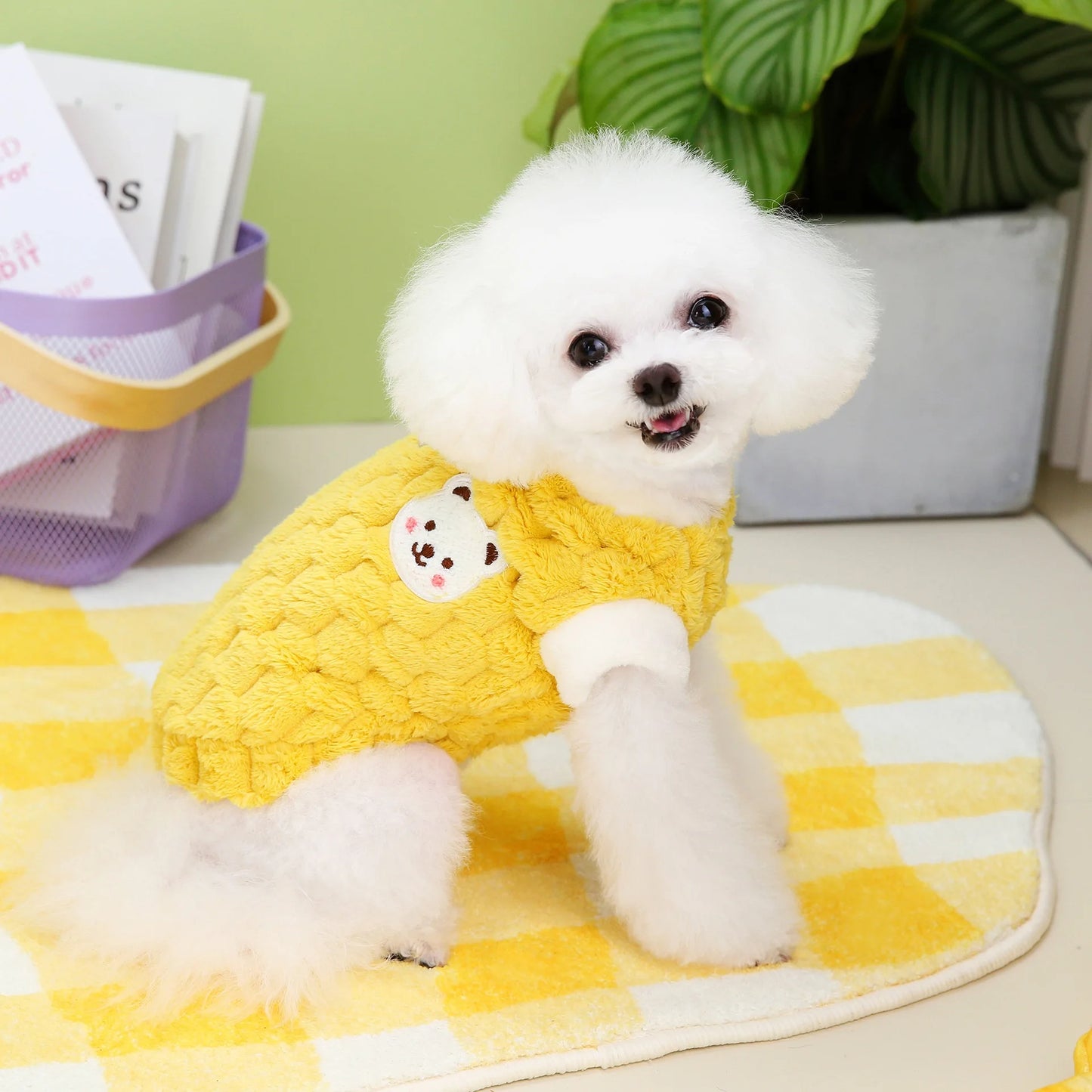 Dog Sweater Plush Warm Pet Clothes for Small Medium Dogs Cats Puppy Vest Fashion Dog Coat Chihuahua Yorkie Teddy Bichon Clothing