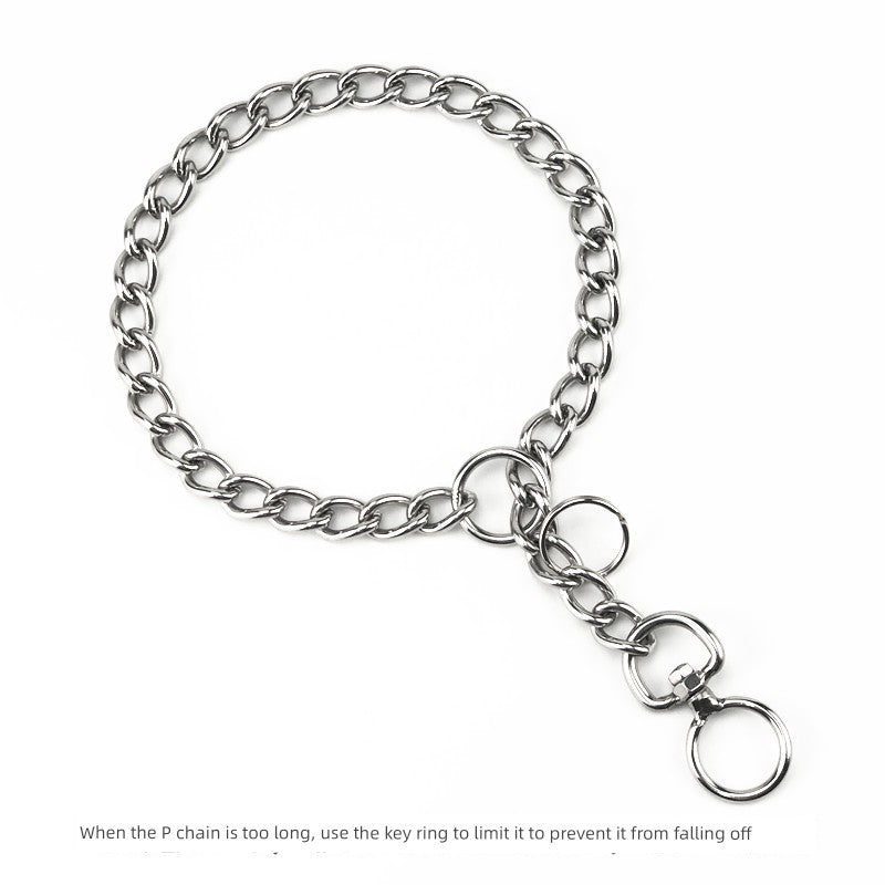 Stainless Steel Collar Malinois Rowena Medium P Chain