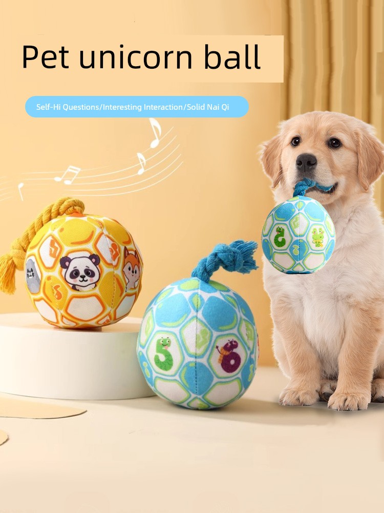 Bite-Resistant Rope Bell Puppy Consumes Physical Strength Handy Gadget Dog