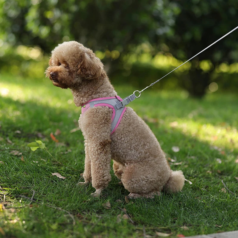 Arnés y correa para perros pequeños, ajustable, para cachorros, gatos, bulldog francés, chihuahua, pug, correa para caminar al aire libre