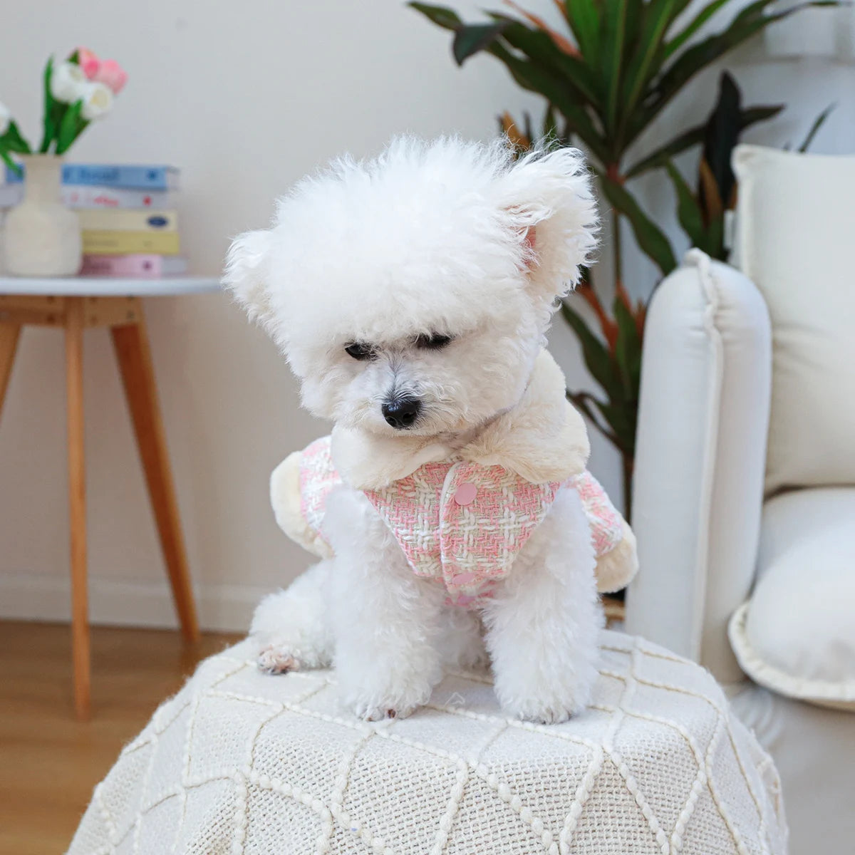 1PC Pet Clothing Dog Cat Autumn/Winter Thick Butterfly Pink Princess Dress Suitable for Small and Medium sized Dogs