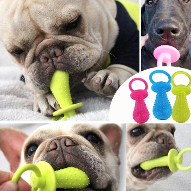 Jouets pour animaux de compagnie pour petits chiens en caoutchouc résistant aux morsures, jouets pour chiens, nettoyage des dents, jouets d'entraînement à la mastication, fournitures pour animaux de compagnie, chiots et chiens