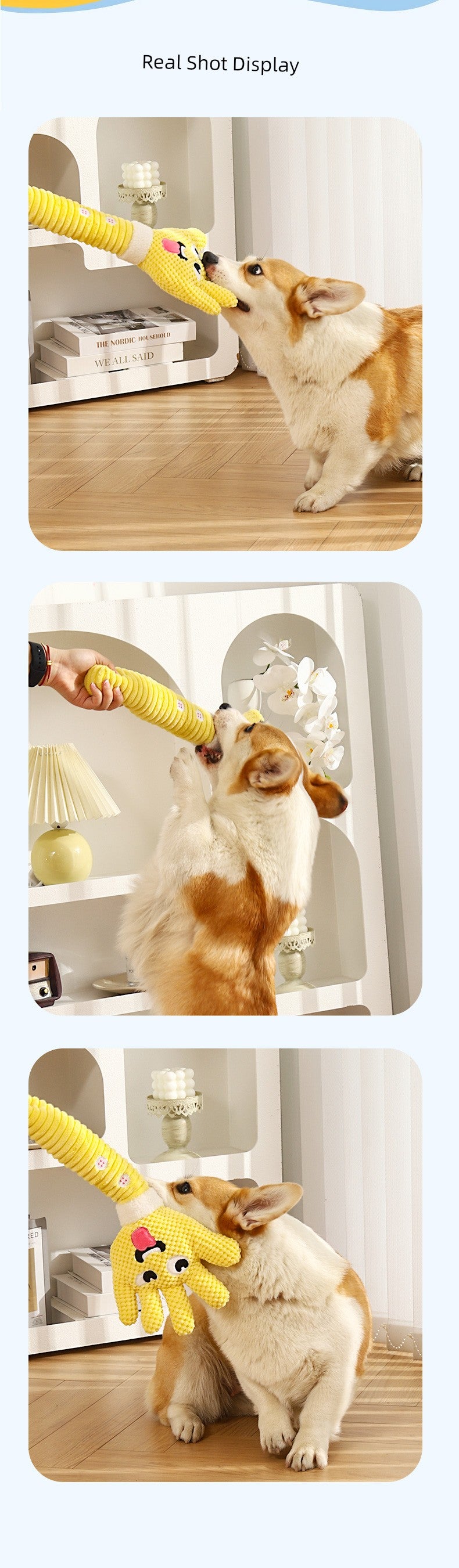 Relieving Stuffy Handy Gadget Palm Corgi Golden Retriever Dog