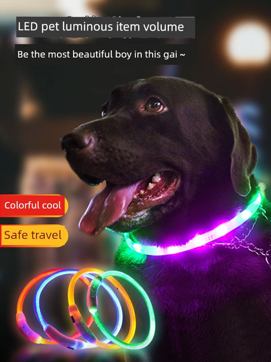 Luminous Circle Small Size Dogs Pet Dog