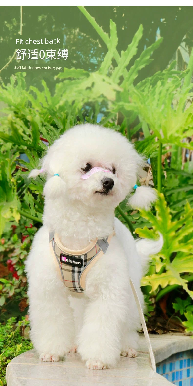 New Arrival Vest Dog Hand Holding Rope Small and Medium-Sized Dogs Teddy Bichon Pomeranian Hand Holding Rope Pet Walking Dog Special Rope